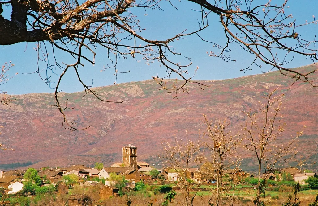 alojamientos AlohaCamp El Abejaruco 1