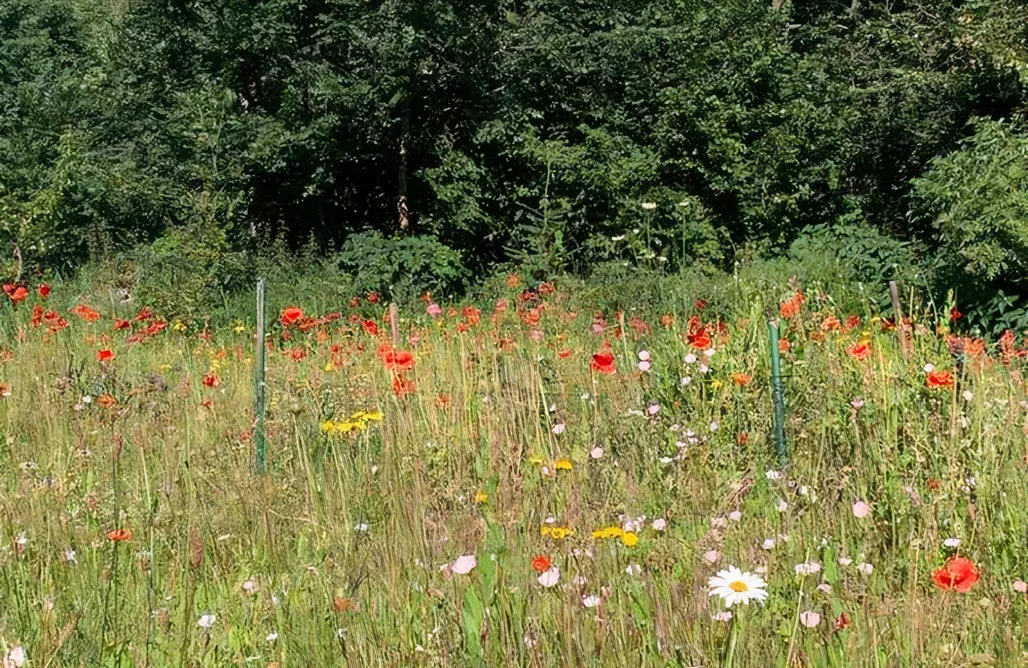 Unterkunft AlohaCamp Naturcamping Tipi/Jurte/Zelt/Glamping 4