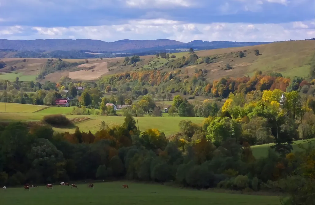 Glamping podkarpacie Smolnikowe Klimaty - Chyżula 3