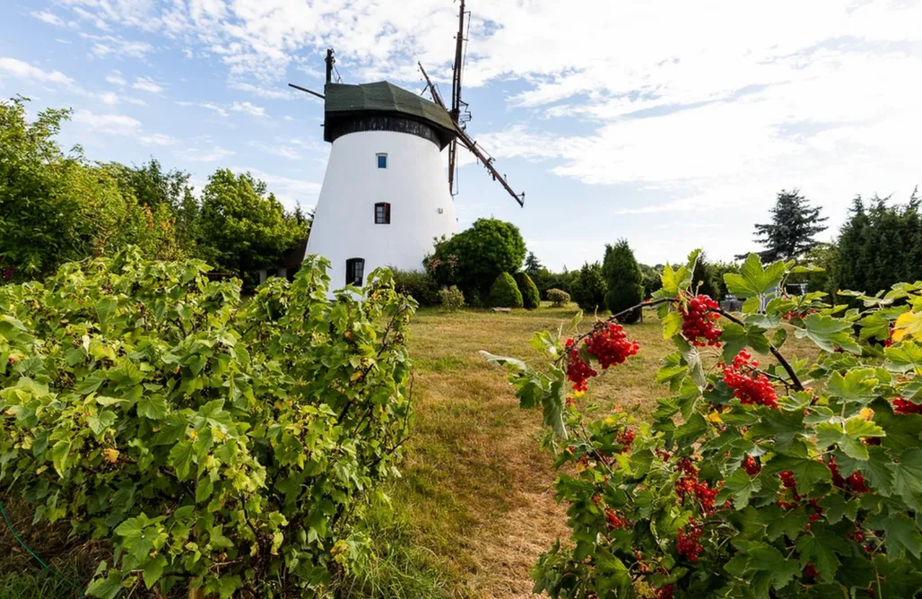 Pustkowo Noclegi Wiatrak w Lędzinie 2