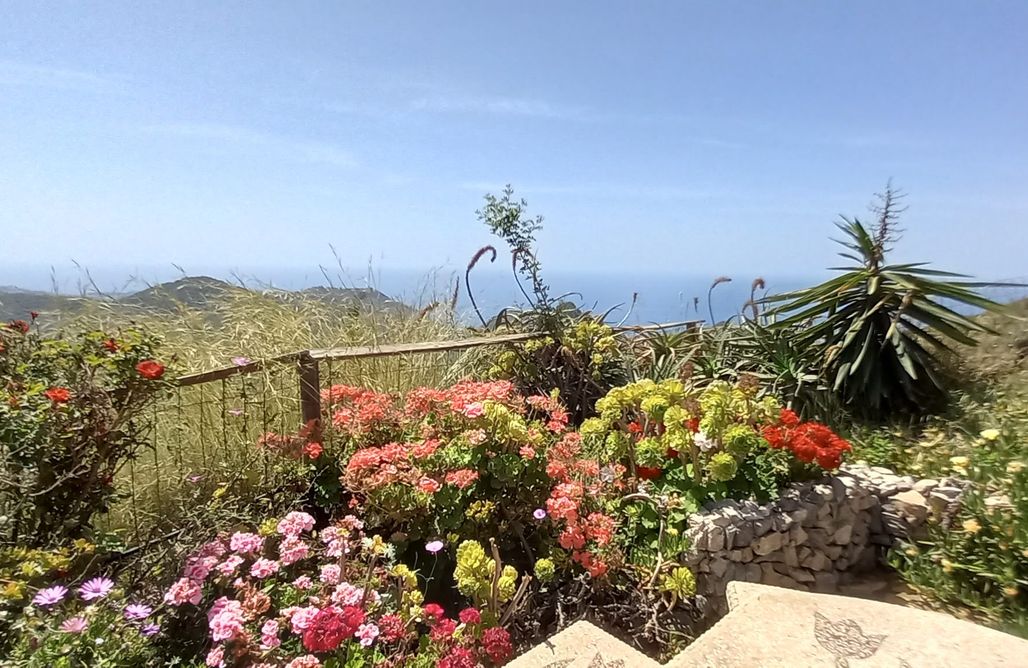 AlohaCamp Casa Mariposa 1