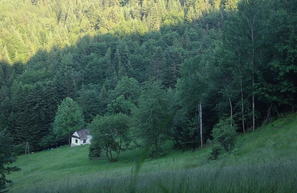 Chorwacja Wakacje Zworna Chata 1