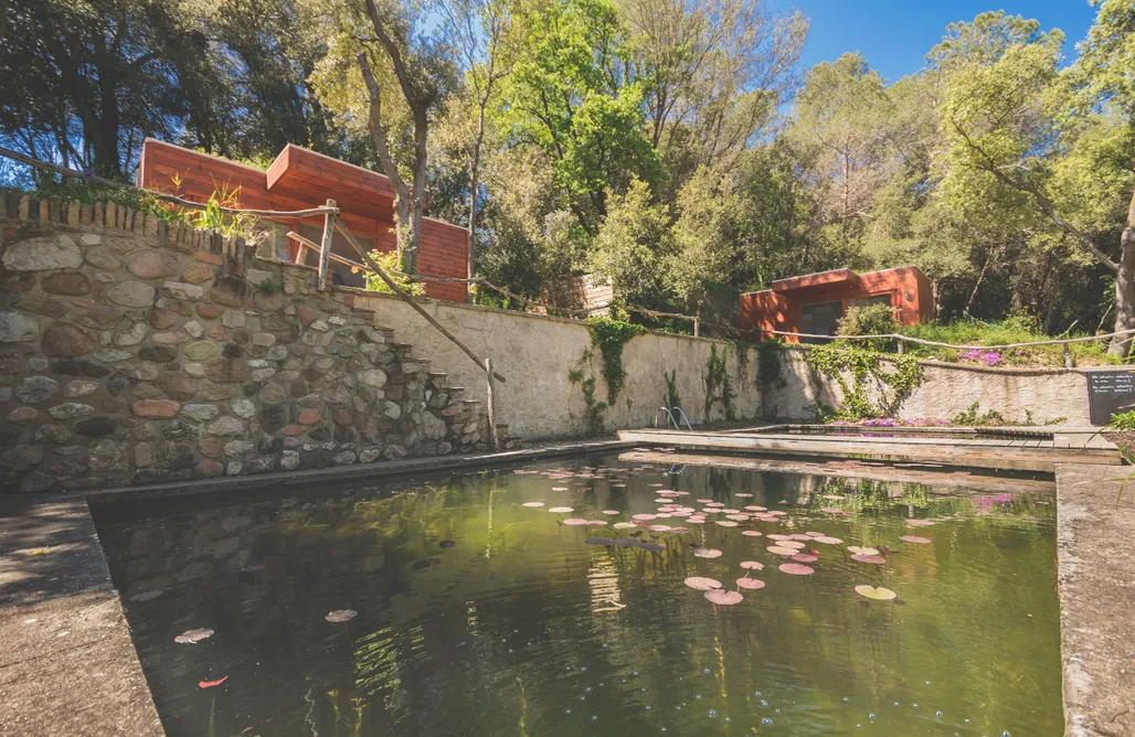 alojamientos AlohaCamp Can Caponet: Cabañas 4