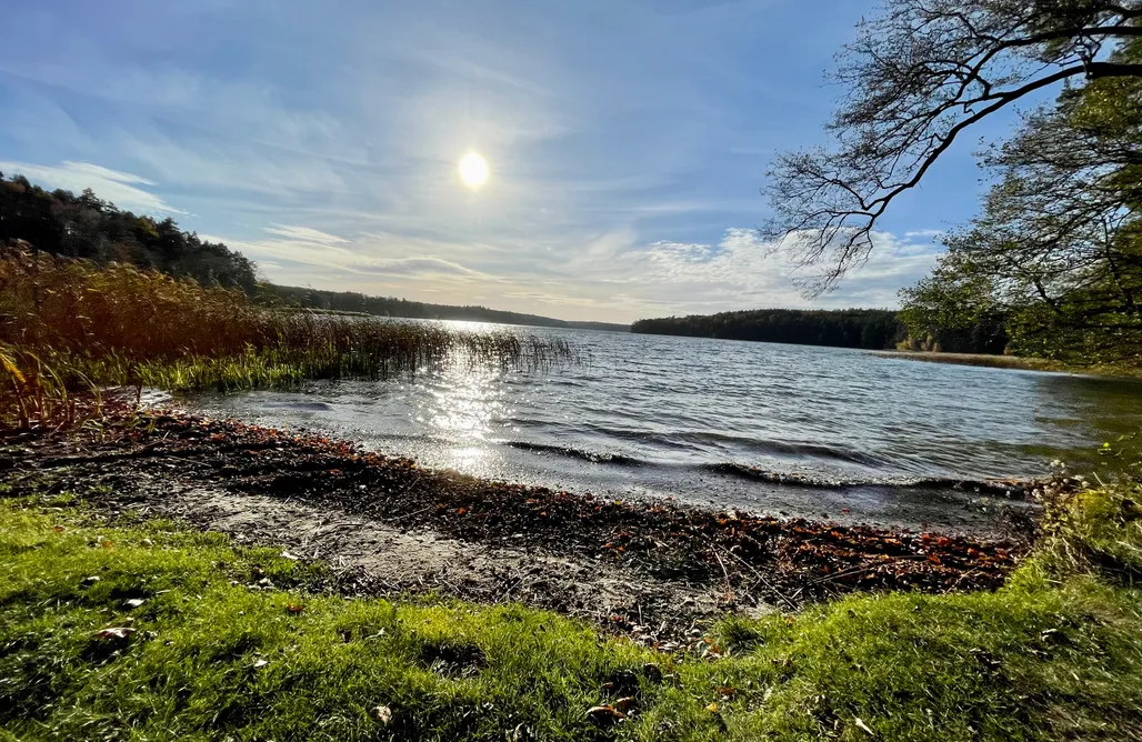 noclegi AlohaCamp Tiny Silent House 1