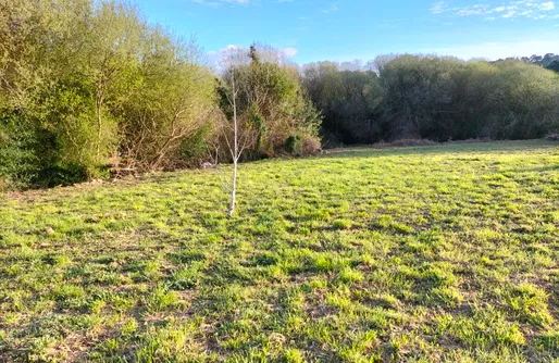 Imagen de Sitio para autocaravanas y tiendas en La Coruña