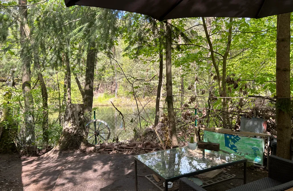 Tiny House Bungalow Biberspur 3