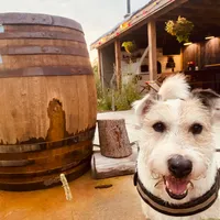 Tomasz propietario Dla mnie się podoba