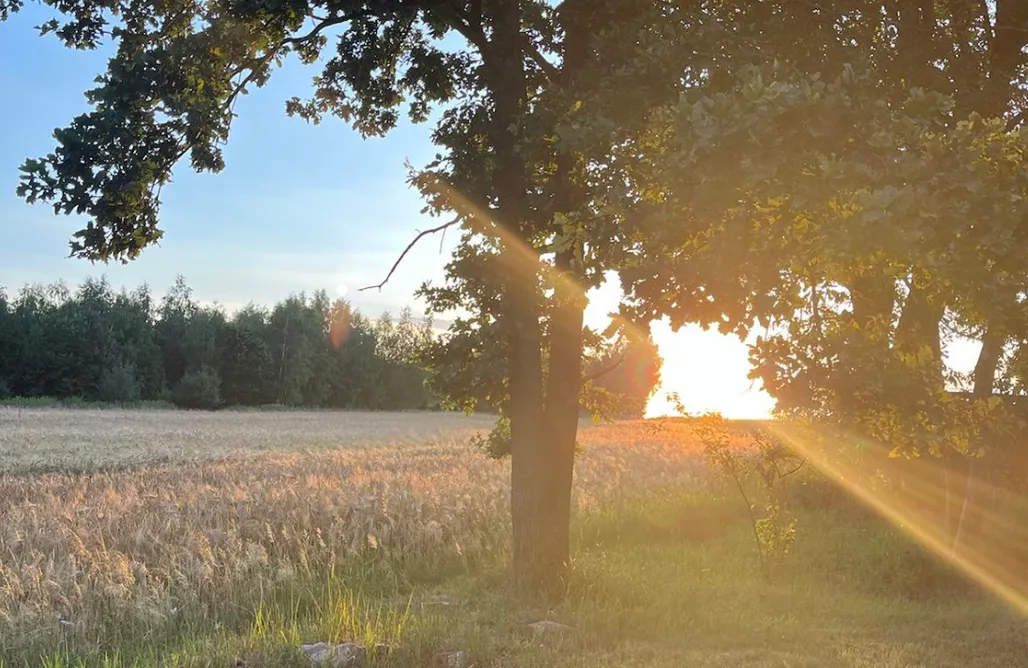 AlohaCamp Siedlisko Przylesie 2