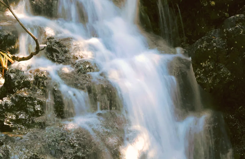 AlohaCamp Domo Cal Berton  1