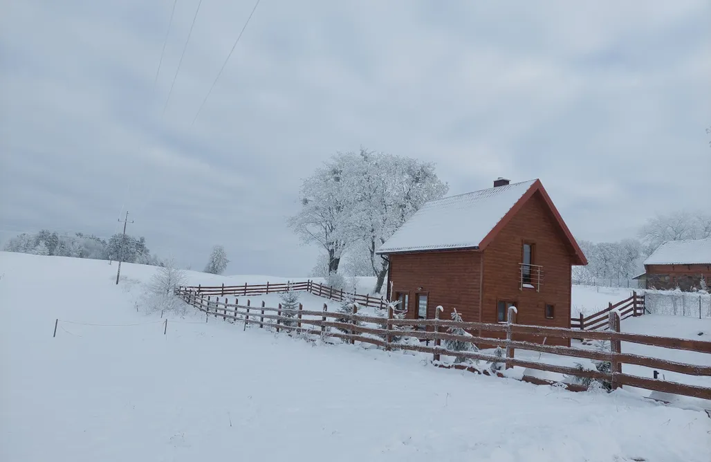 noclegi AlohaCamp Cztery Klony 5