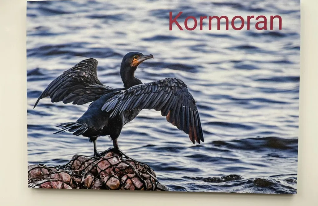 Unterkunft AlohaCamp Ankerbuk Rotes Haus 1