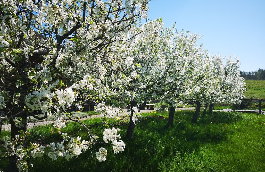 AlohaCamp Pokój Kamienie 1