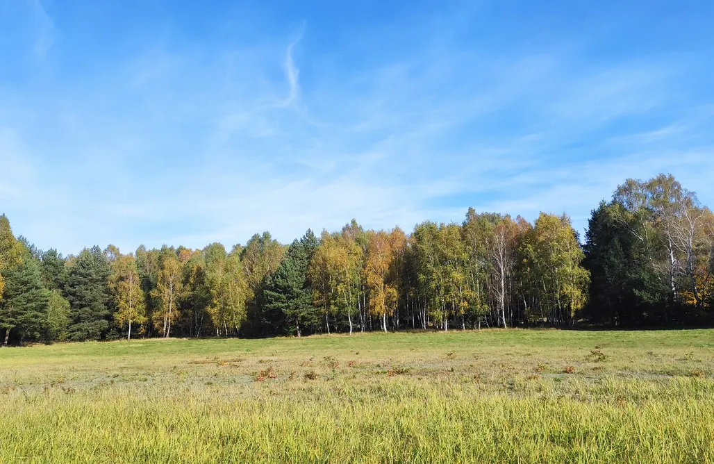 AlohaCamp Domek Marzeń 1
