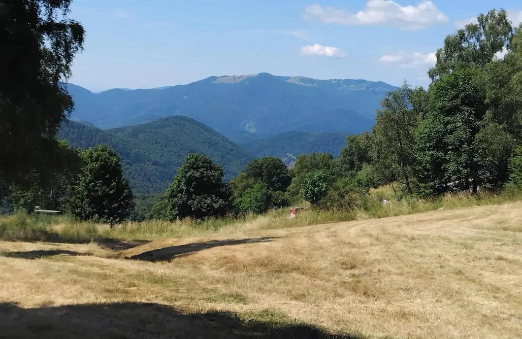 Un Air D'alsace AlohaCamp