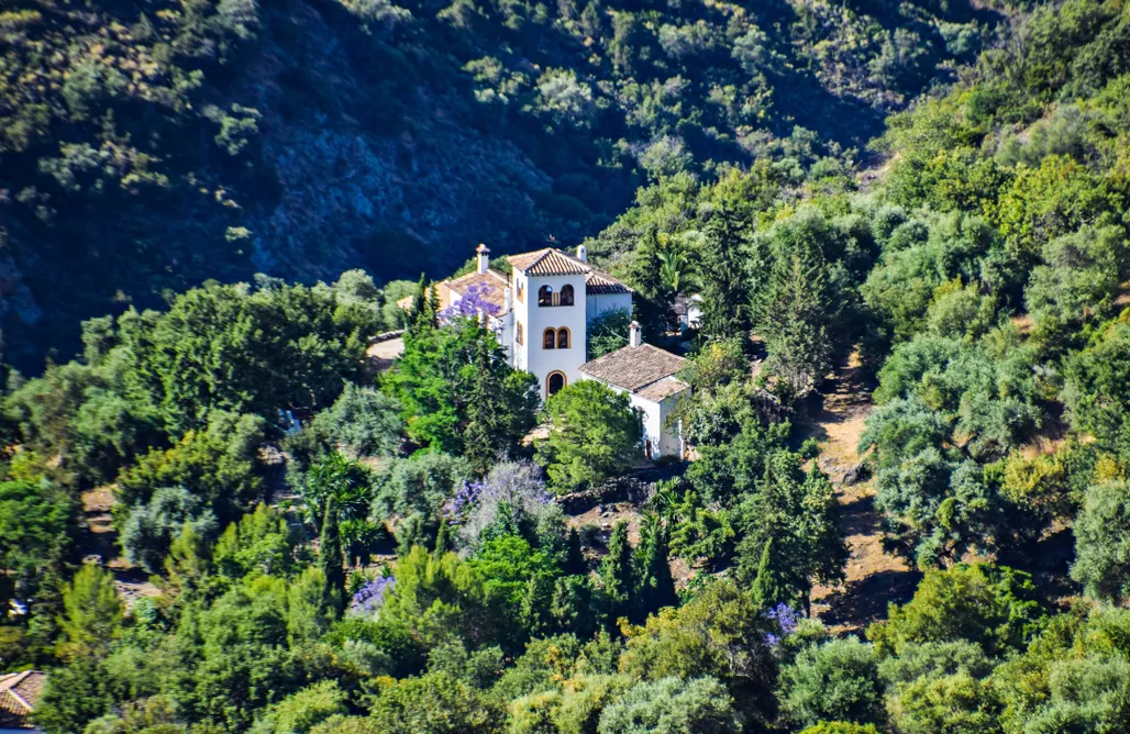 Alojamiento en Algodonales El Cortijo 2