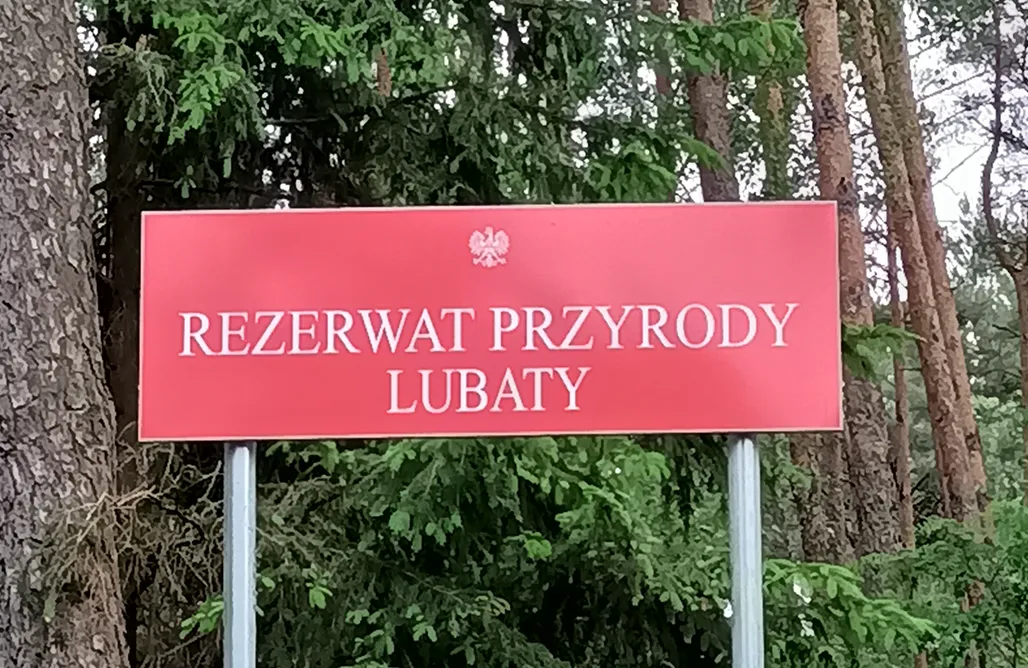 noclegi AlohaCamp Miejsce kamperowe - Klonowa Przystań  1