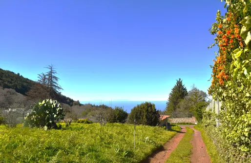 Imagen de Casa Rural La Gustoza La Negrita
