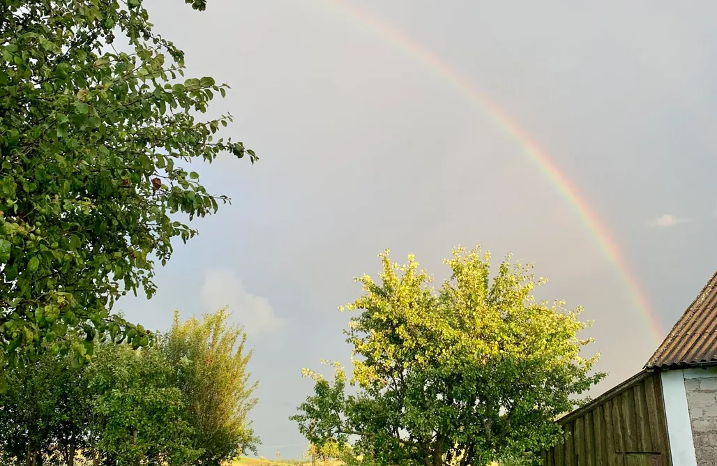 AlohaCamp Dom na wzgórzu 1