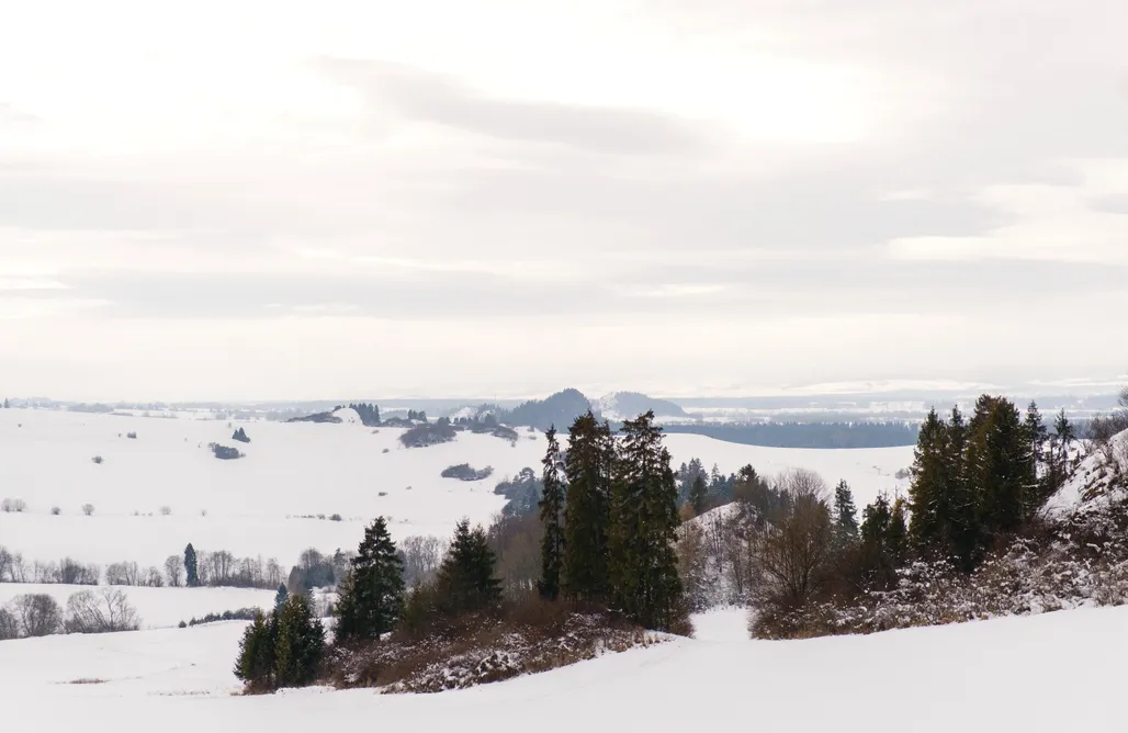 AlohaCamp accommodation Forest Stodoły 1