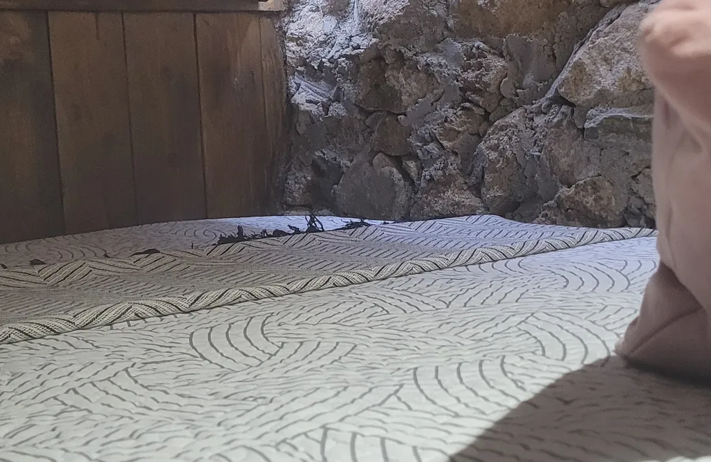 AlohaCamp Cabaña do rei  4