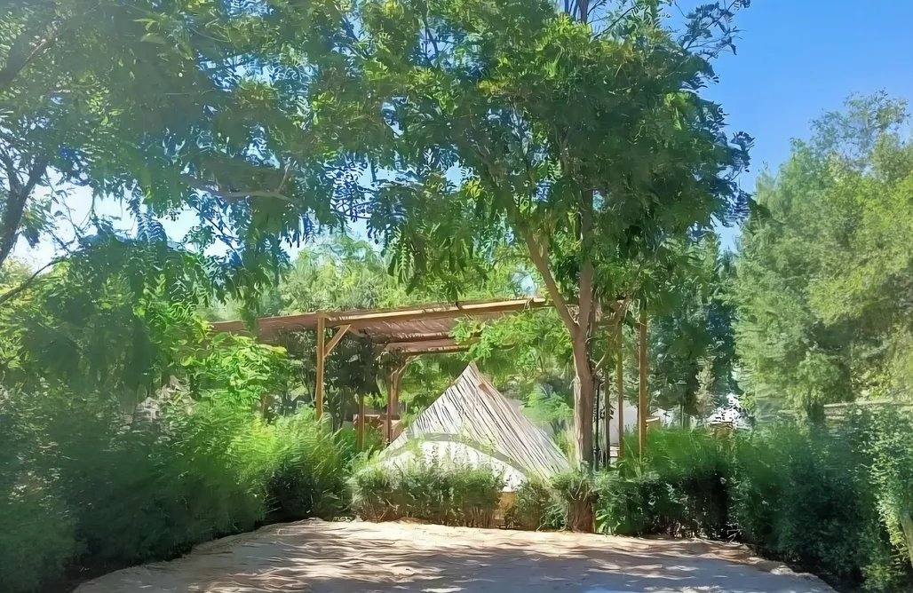 Campings Valencia Camping Valdeluna - Parcelas  3