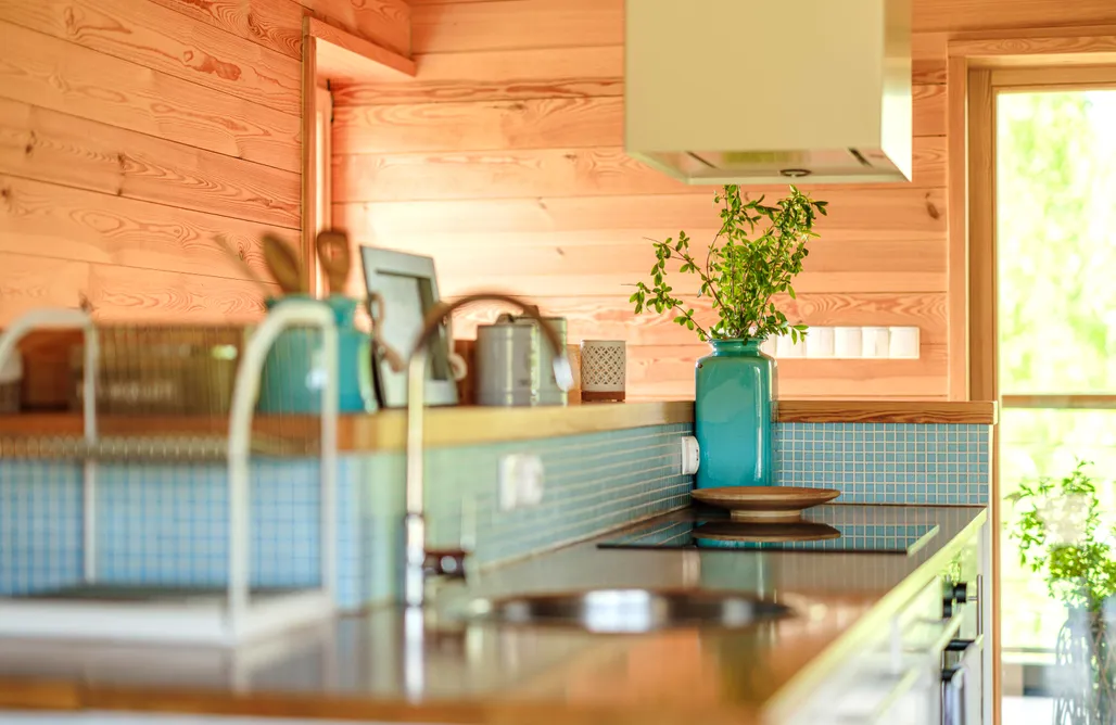 Wczasy z psem nad morzem Family Lodge 50 m od jeziora, Sauna, Balia, Kajak, SUP 1