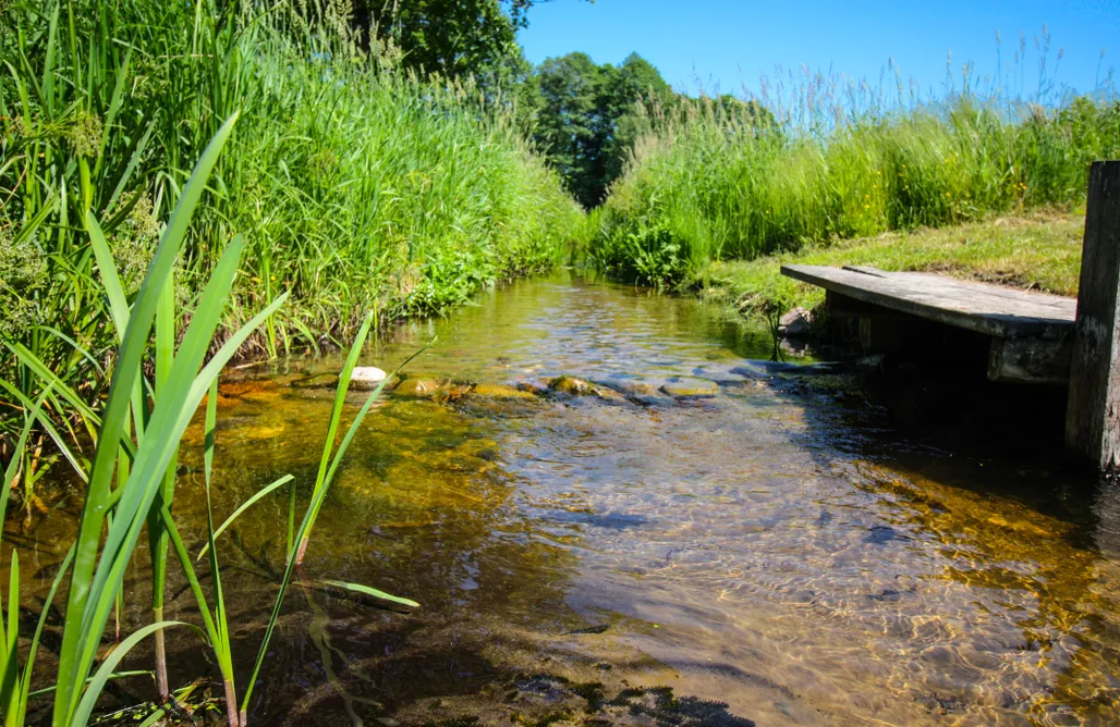 AlohaCamp Drewutnia 1