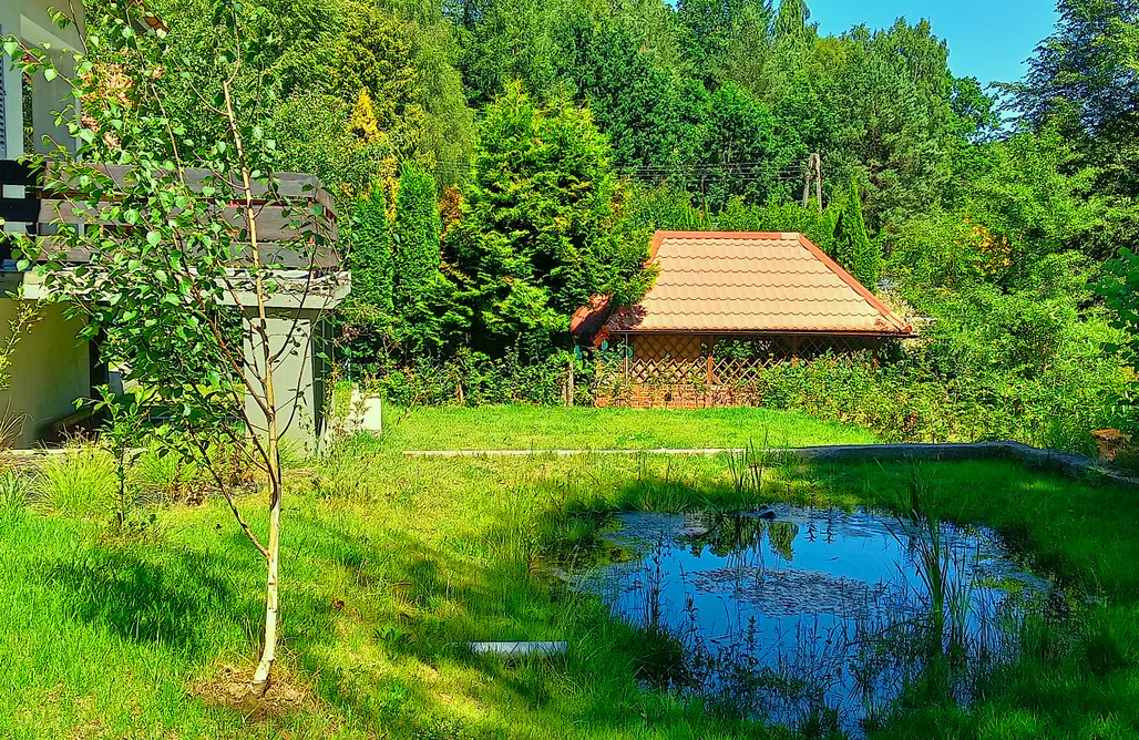 Wakacje Na Kaszubach Marchówka 1