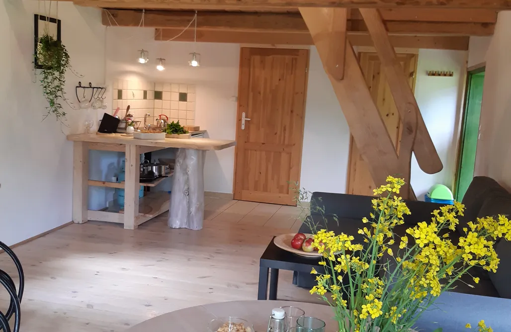 AlohaCamp Zielony Domek 3