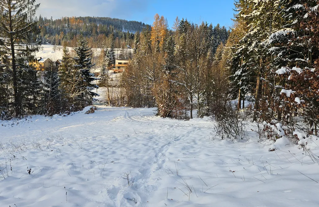 noclegi AlohaCamp Aleksandria nad Olzą  5