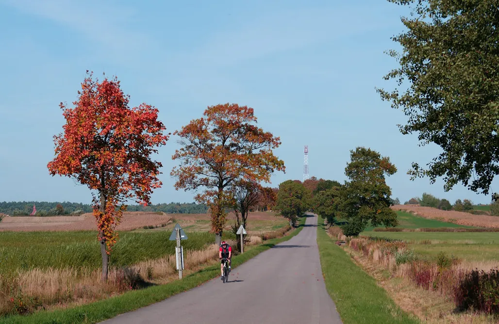 AlohaCamp Harmonia Horyniec - domek nr 1 1