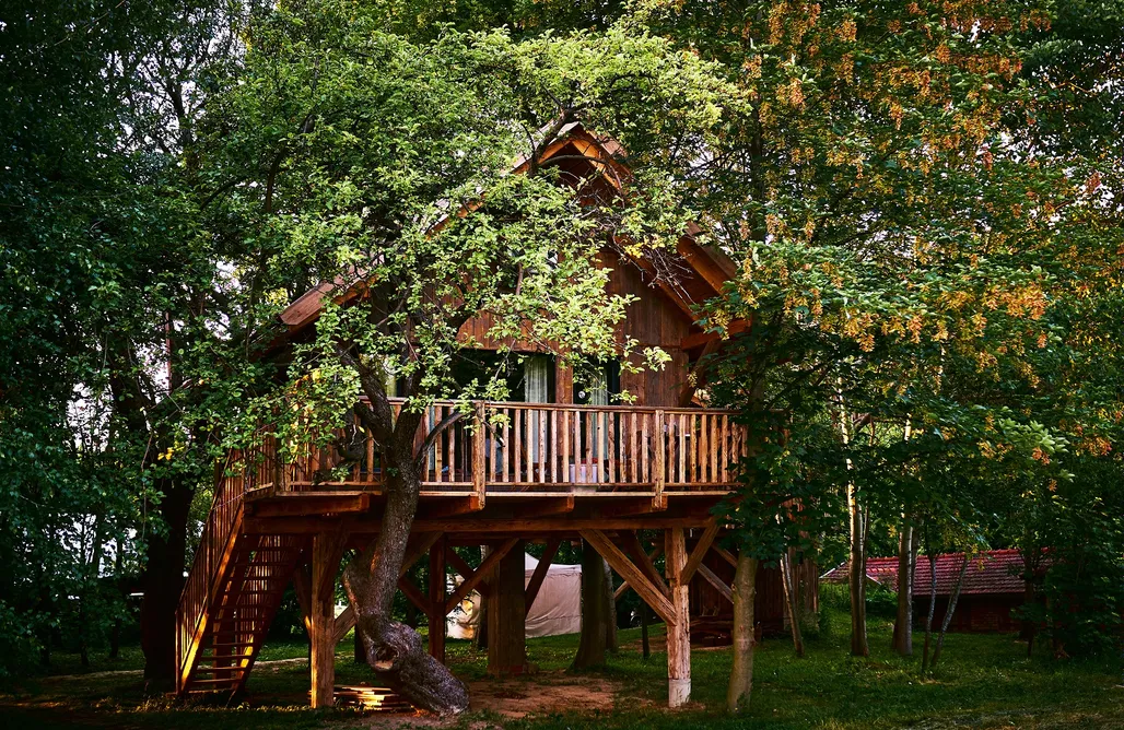 AlohaCamp Dom na drzewie Jabłoń 2