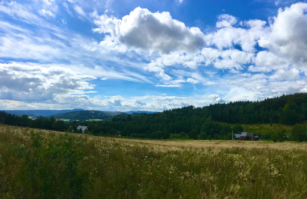 AlohaCamp accommodation Koko Ryku 4