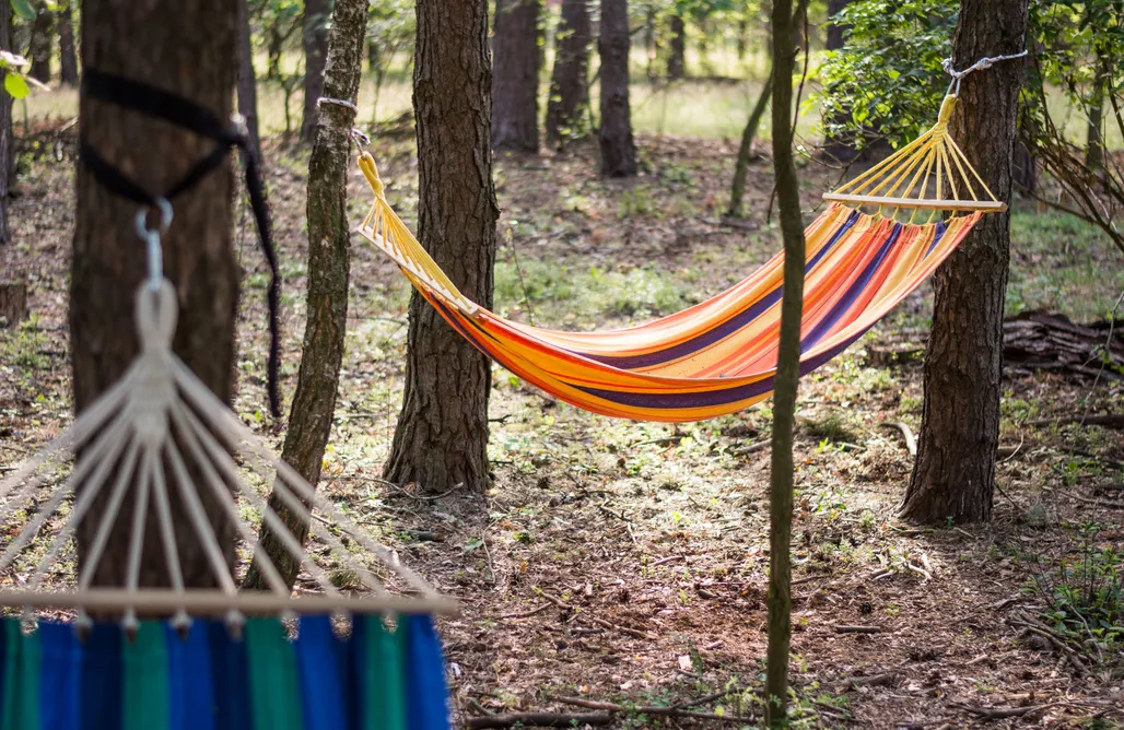 noclegi AlohaCamp Tiny Cottage tylko dla Dwojga - Agro Glamping Kozia Farma 4