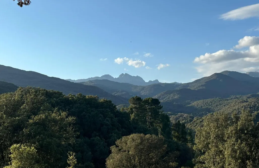 Unterkunft AlohaCamp Lodge A Nassa 1