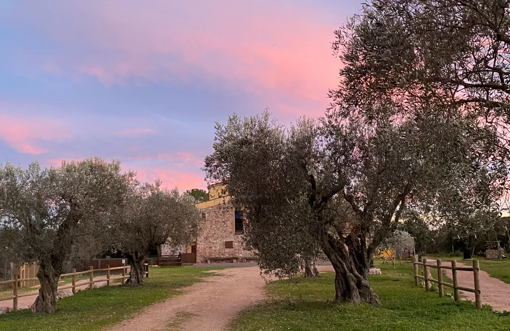 AlohaCamp accommodation El niuet del bosc 1