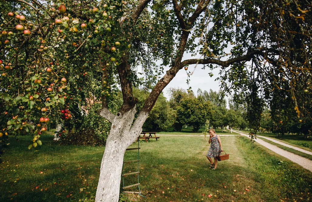 noclegi AlohaCamp Ukojenie Naturą 5