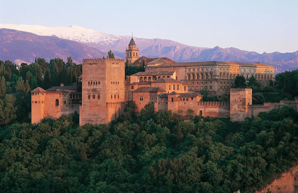 Unterkunft AlohaCamp El Aljibe 1