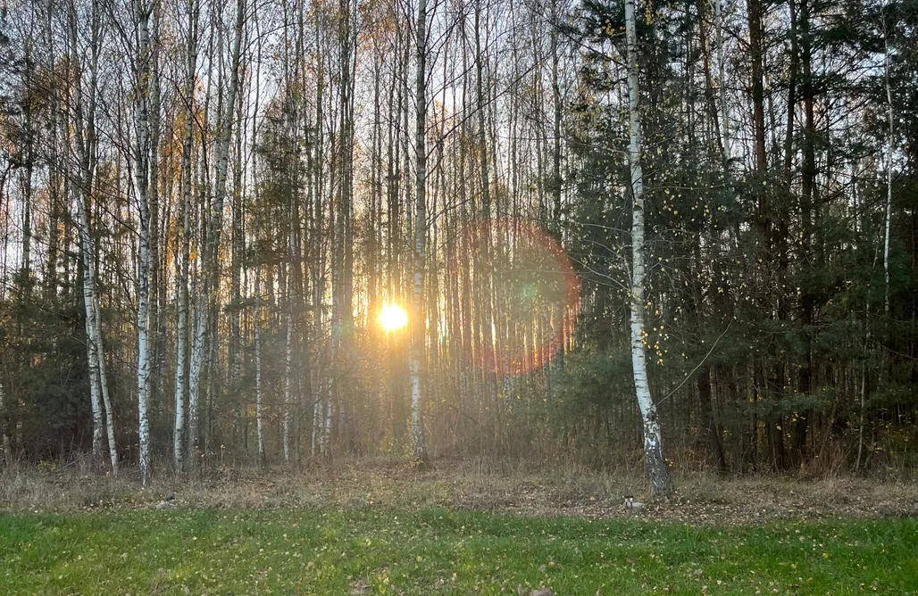 noclegi AlohaCamp Baciki 61 domek przy lesie  1