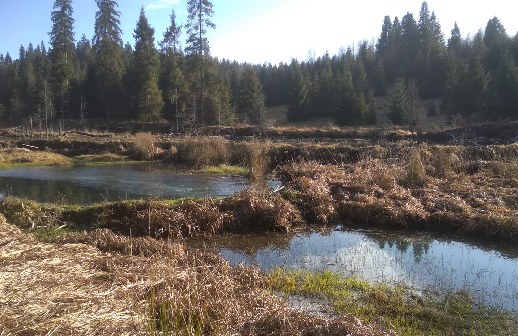 noclegi AlohaCamp Dom na Pawlikach 1