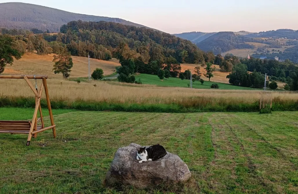 noclegi AlohaCamp Wzgórze Jasia 5