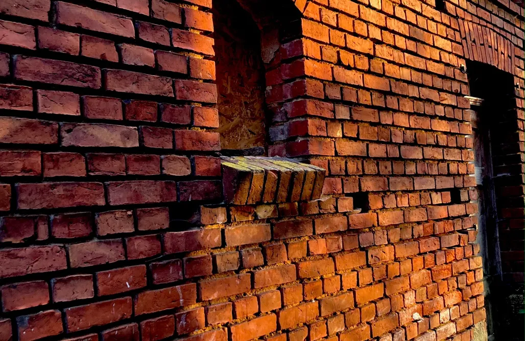 Hütte im Wald Mieten Ostsee Łabędzie 100 1