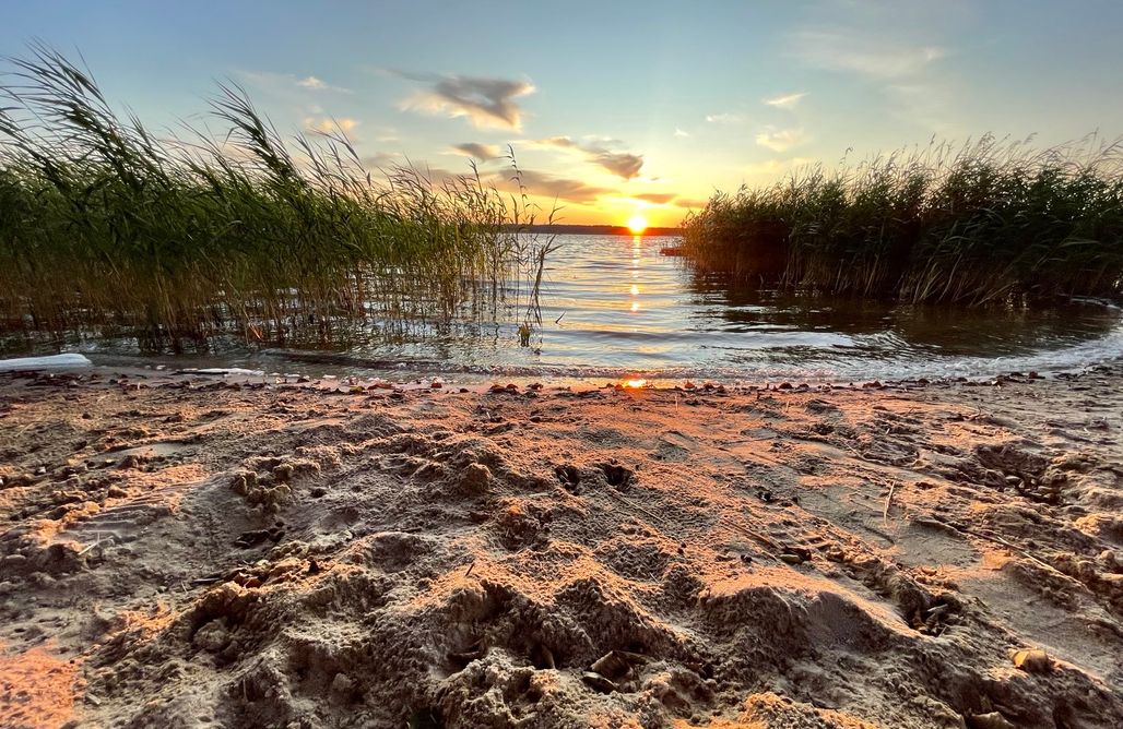 noclegi AlohaCamp Domy w Wycinkach 5