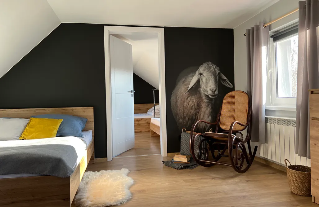 AlohaCamp Dablin 9 2