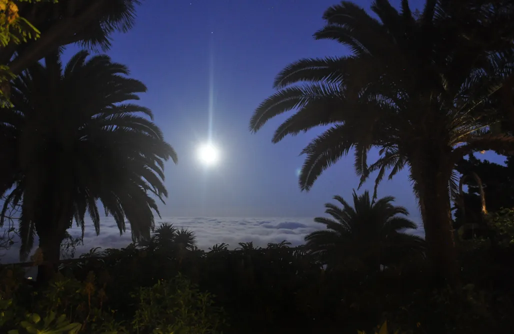 AlohaCamp Studio Mazo Tiny House 1