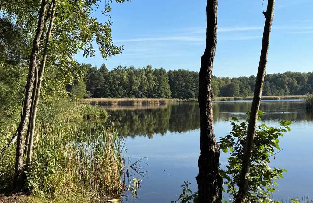 noclegi AlohaCamp Leśna Ostoja-domek z prywatną sauną i balią w ogrodzie  1