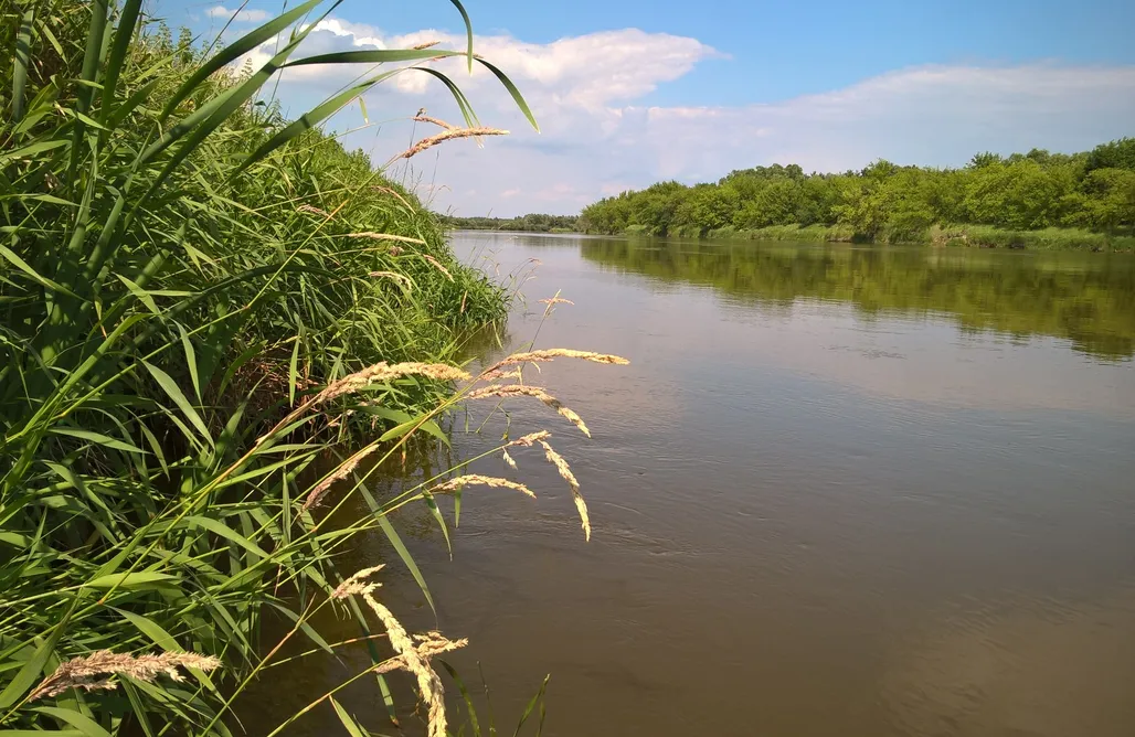 AlohaCamp Żurawie Malwy  1