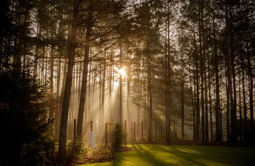 Zdjęcie obiektu Leśna Strzecha Apartamenty