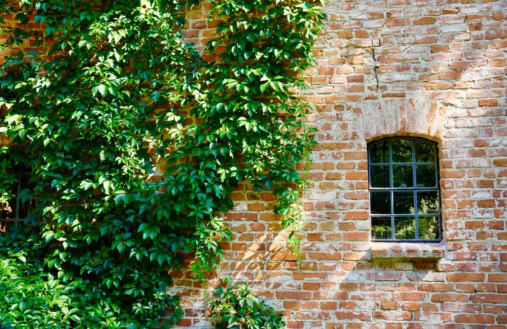 alojamientos AlohaCamp Dom Przemian 4