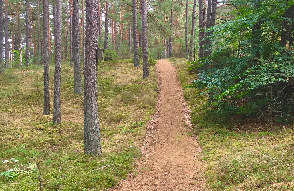 noclegi AlohaCamp Schodno13 5